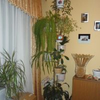 fleurs fraîches dans la décoration de la chambre