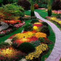 image de chapelet de petites fleurs lumineuses