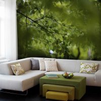belle photo de cuisine de style loft