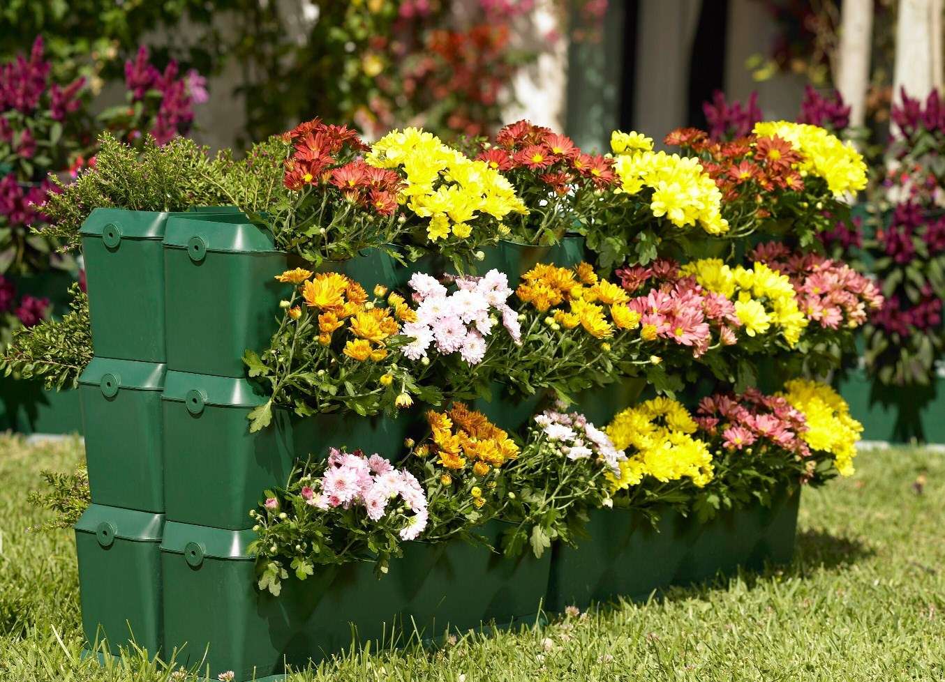 petites fleurs inhabituelles dans l'aménagement paysager d'une maison de campagne