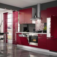 couleur bordeaux brillant dans la conception du couloir photo