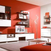 une combinaison de rouge avec d’autres couleurs dans le décor d’une photo d’enfant