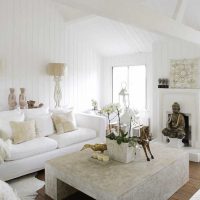 mobilier blanc lumineux dans la conception de l'appartement photo