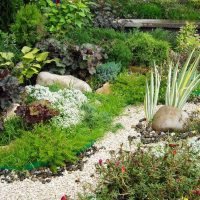 belle décoration de jardin avec des matériaux improvisés picture