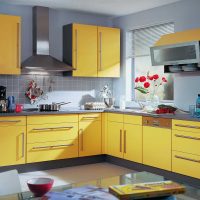 combinaison de couleurs vives dans la conception de la photo de la cuisine