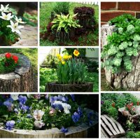conception originale de la parcelle de jardin faites-le vous-même