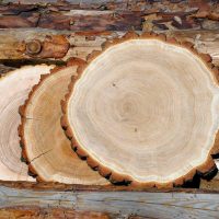 beau salon avec photo en bois