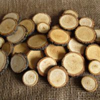 appartement au décor lumineux avec photo de bois scié