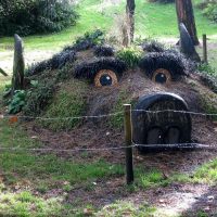 conception inhabituelle de la parcelle de jardin avec vos propres mains