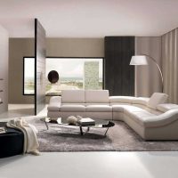 décor inhabituel d'un appartement dans une photo de style moderne