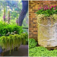 faites-le vous-même décoration inhabituelle d'une image de parcelle de jardin