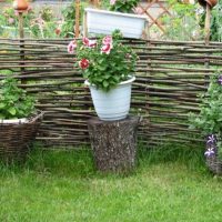 conception originale d'une maison d'été avec des arbres faites-le vous-même photo