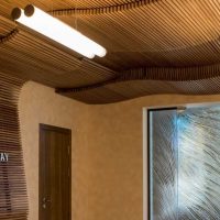 salon design original avec photo en bois scié