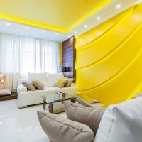 une combinaison de rideaux de lumière dans le style de la photo du salon