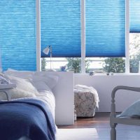 Le style original du salon en photo bleu