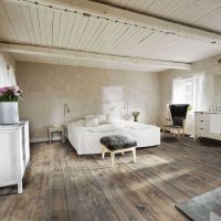 belle chambre design avec vieux tableaux photo