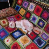 couvertures au crochet dans le décor de la photo du salon