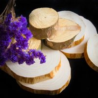 salon de style lumière avec photo en bois scié