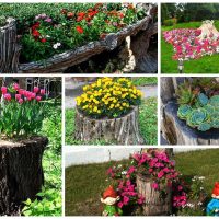 beau matériel de photo de décoration de jardin improvisé