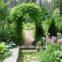 décoration originale de la parcelle de jardin avec vos propres mains photo