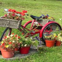 décoration insolite de la parcelle de jardin faites-le vous-même photo