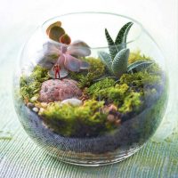 variante de décoration insolite d'une image de vase