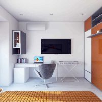 l'idée d'un bel exemple de photo de design d'appartement