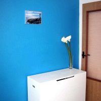 l'idée d'une décoration inhabituelle des coins de l'appartement picture