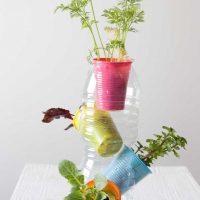 option vases design lumineux photo