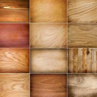 l'idée d'un arbre lumineux à l'intérieur de l'appartement picture