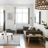 l'idée d'un intérieur lumineux de l'appartement en 2017 picture