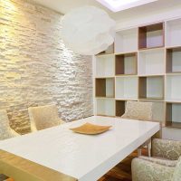 l'idée d'utiliser une brique décorative inhabituelle dans le style d'une photo de pièce