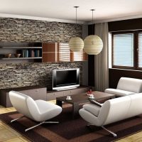 variante de pierre décorative brillante dans la conception de l'appartement picture