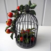 version de la façade d'origine de la pièce avec une image de cage décorative