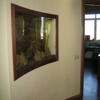 option photo de style chambre lumineuse