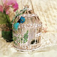 version d'un bel appartement avec photo d'une cage décorative