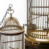 idée d'un intérieur insolite d'un appartement avec une photo de cage décorative