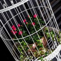 variante de la façade inhabituelle de l'appartement avec une image de cage décorative