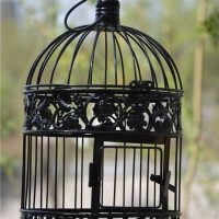 idée d'une conception de pièce lumineuse avec une cage photo décorative
