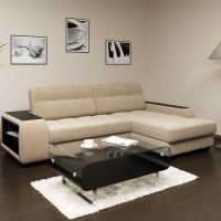 l'idée d'un bel appartement design avec canapé photo
