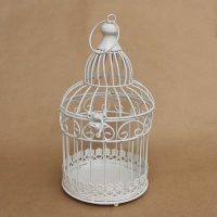 conception de pièce lumineuse avec cage photo décorative