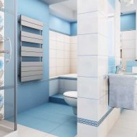 idée du design original d'une photo de salle de bain blanche