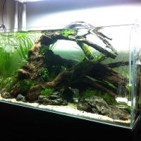variante d'une belle décoration de la photo d'aquarium