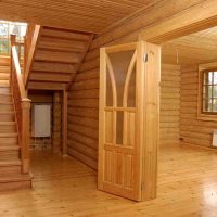 l'idée d'un bel arbre à l'intérieur de l'appartement picture