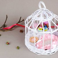 idée d'une façade inhabituelle d'une pièce avec photo d'une cage décorative