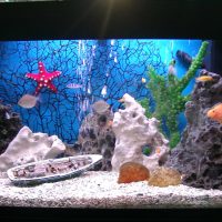 option décoration lumineuse aquarium photo