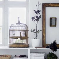 l'idée d'un appartement lumineux avec une cage photo décorative