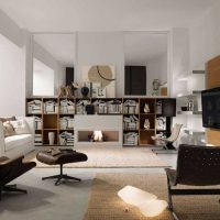l'idée d'un beau décor d'un salon dans une photo de style moderne