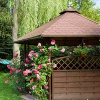 version du design moderne du gazebo dans la photo de la cour
