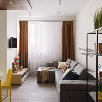 l'idée d'un beau décor d'un salon dans une photo de style moderne